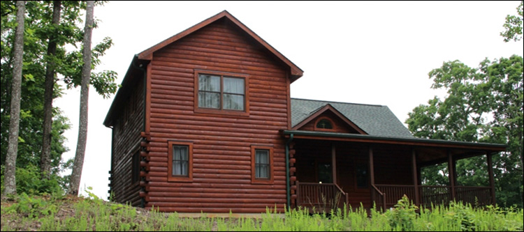Professional Log Home Borate Application  Laurens County, Georgia